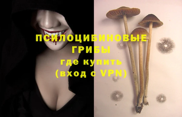MDMA Нефтегорск