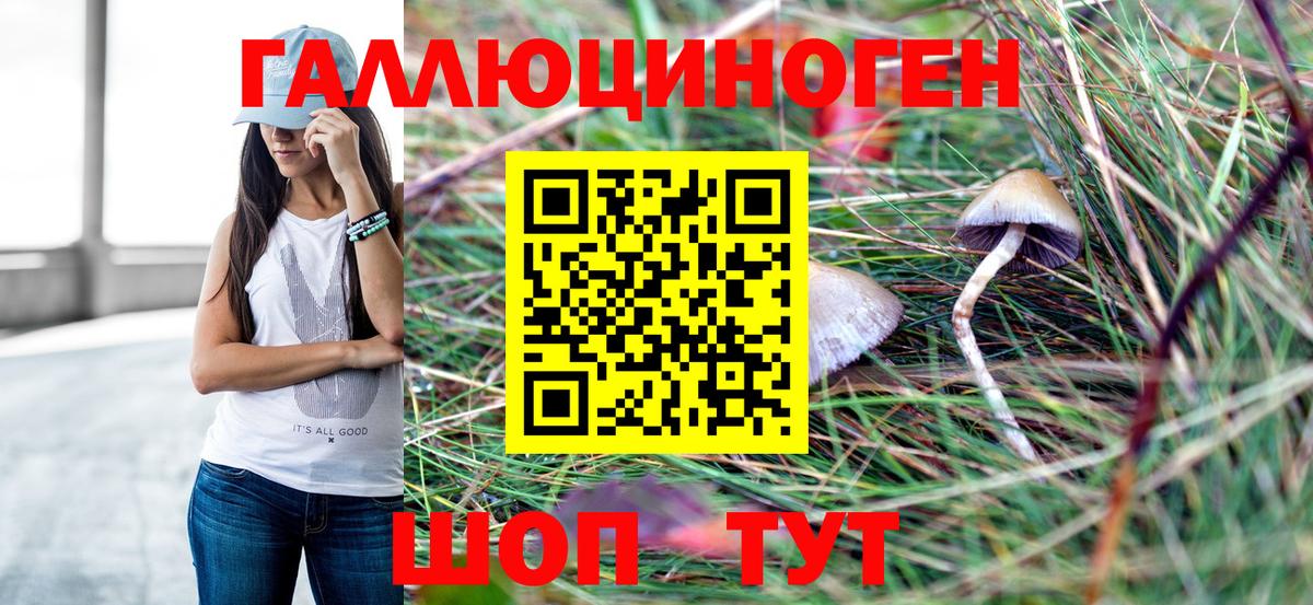 Избербаш  Псилоцибиновые грибы Cubensis  Вход с VPN 