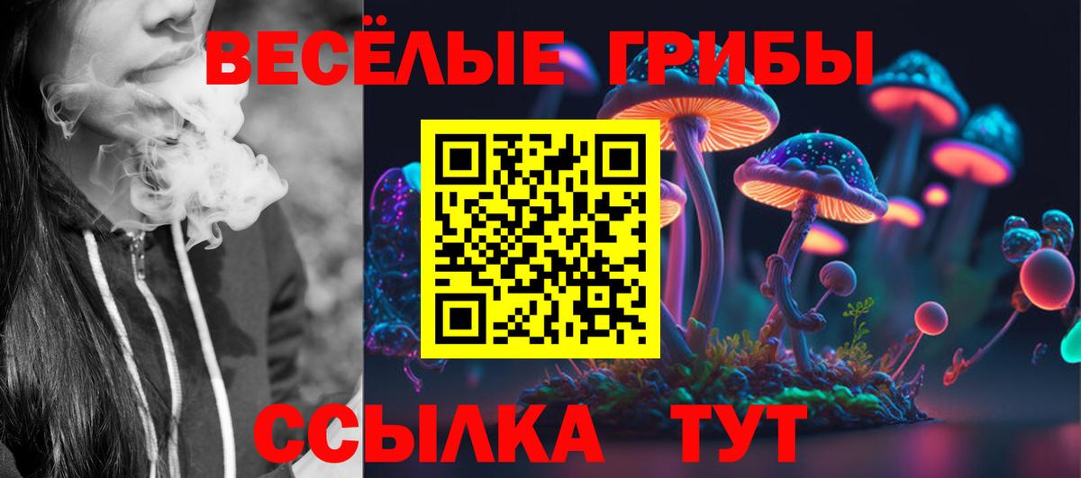 Псилоцибиновые грибы Psilocybine cubensis Избербаш